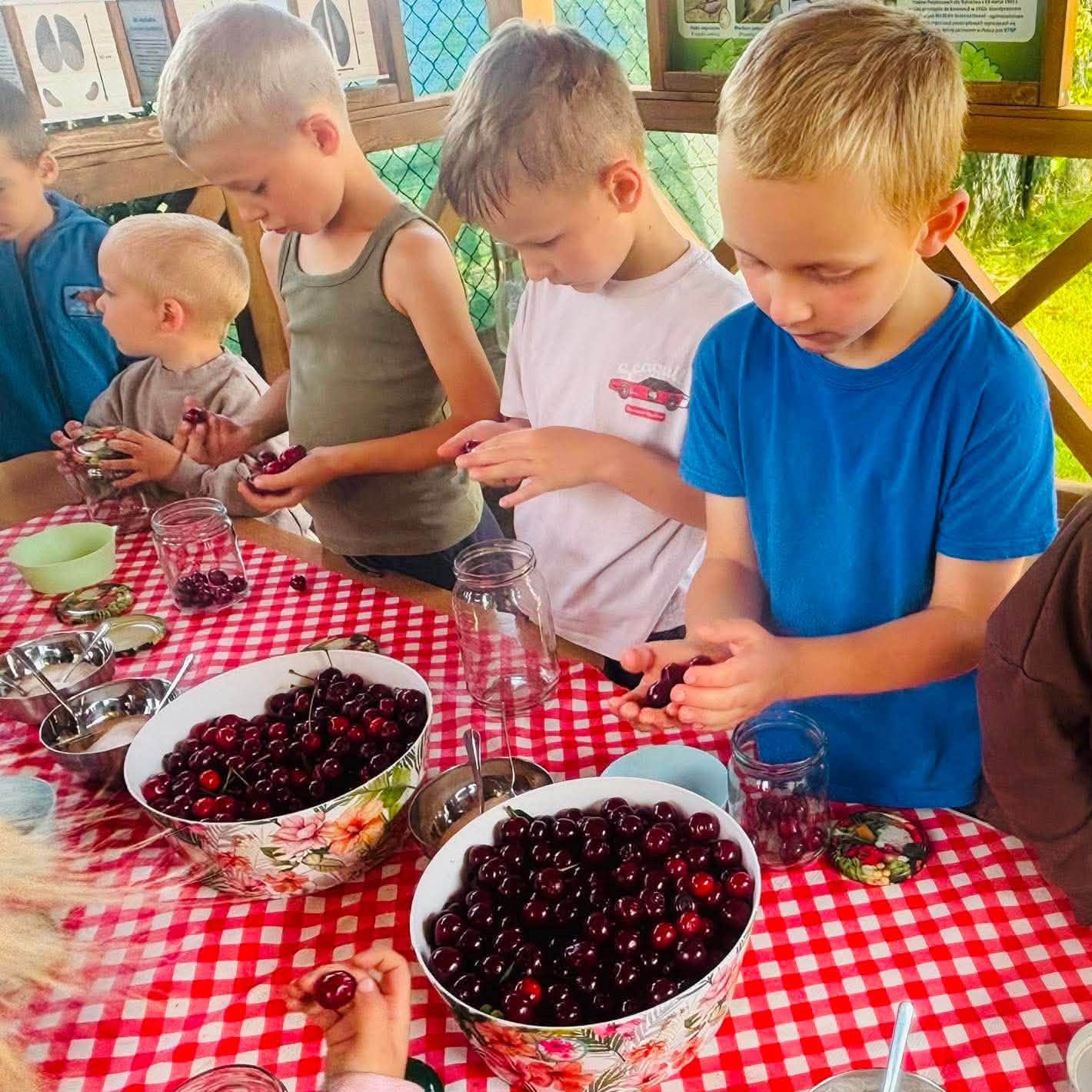 children_fruits